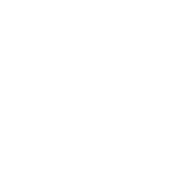 Reporter - White.png